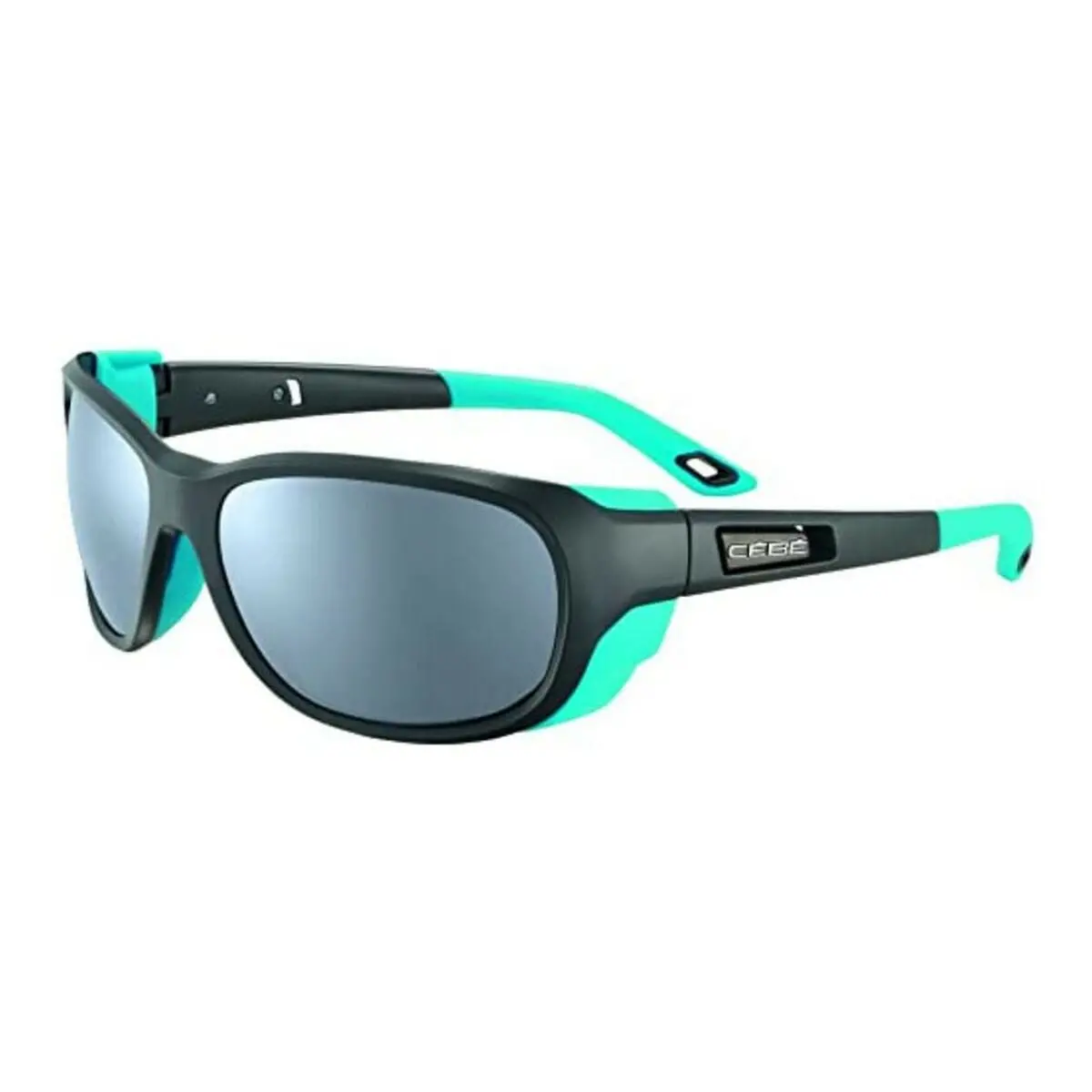 Men's Sunglasses Cébé Cbs029 Ø 58 Mm 1