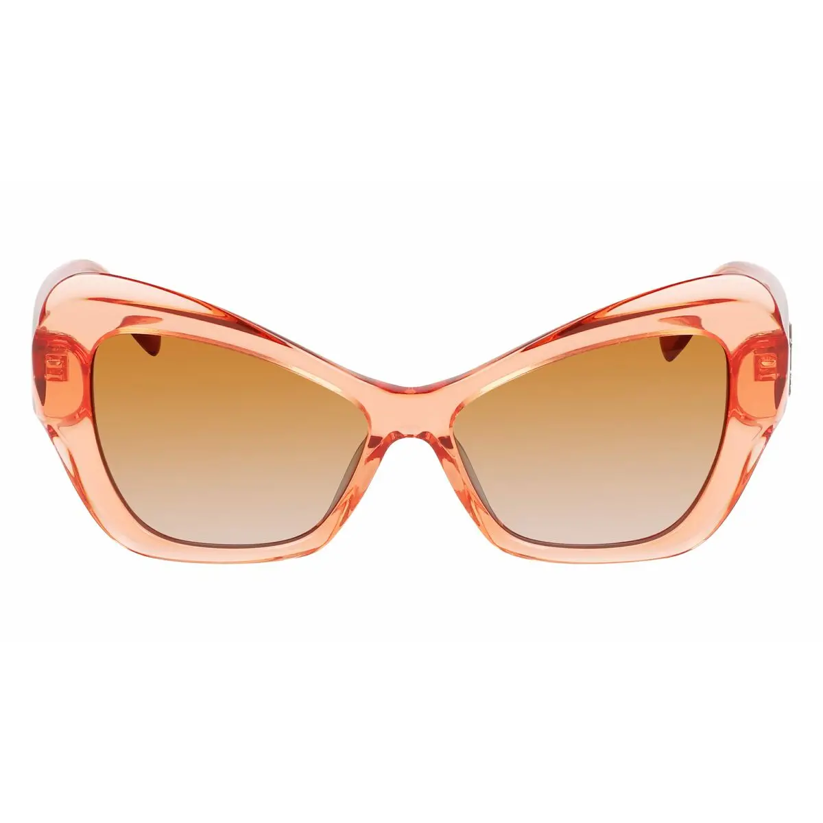 Ladies' Sunglasses Karl Lagerfeld Kl6076s-800 Ø 53 Mm 1