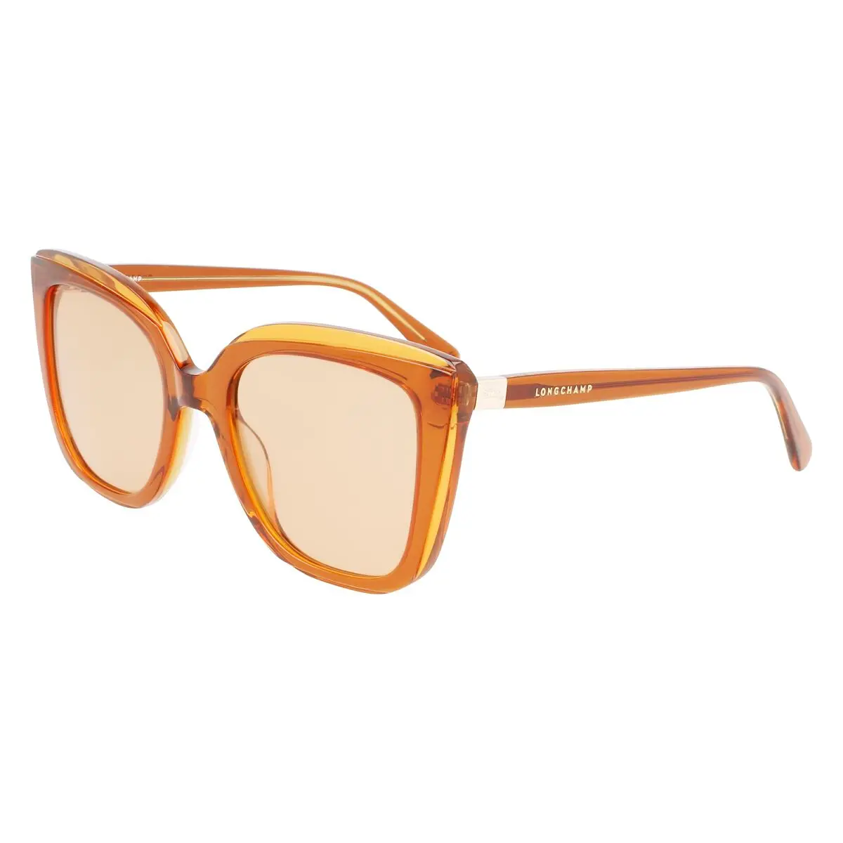 Ladies' Sunglasses Longchamp Lo689s5321744 Ø 53 Mm 1