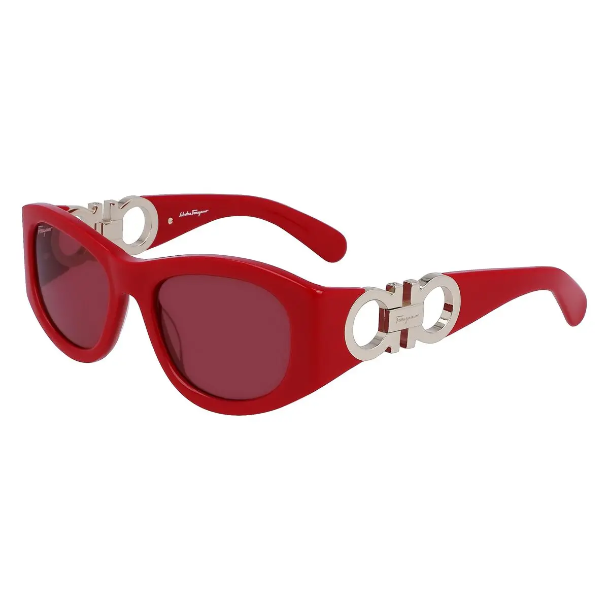 Ladies' Sunglasses Salvatore Ferragamo Sf1082s531960 Ø 53 Mm 1