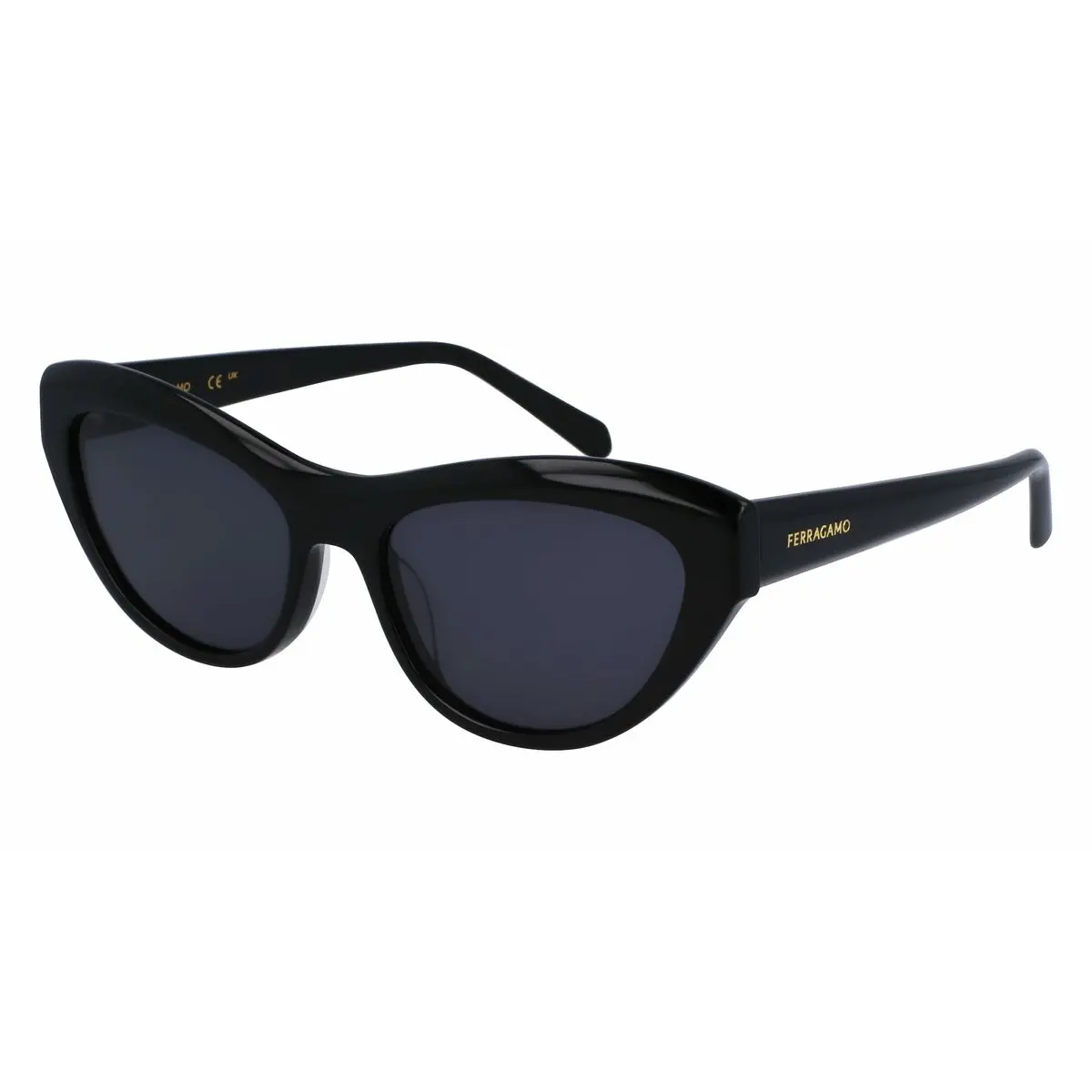 Ladies' Sunglasses Salvatore Ferragamo Sf1103s551700 Ø 55 Mm 1