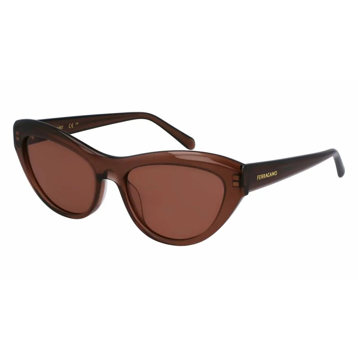 Ladies' Sunglasses Salvatore Ferragamo Sf1103s551723 Ø 55 Mm 1