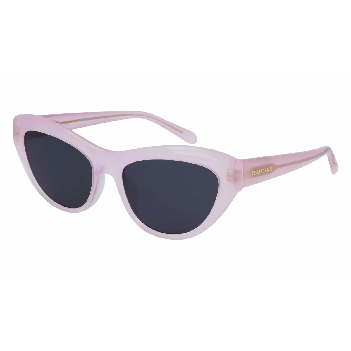 Ladies' Sunglasses Salvatore Ferragamo Sf1103s551766 Ø 55 Mm 1