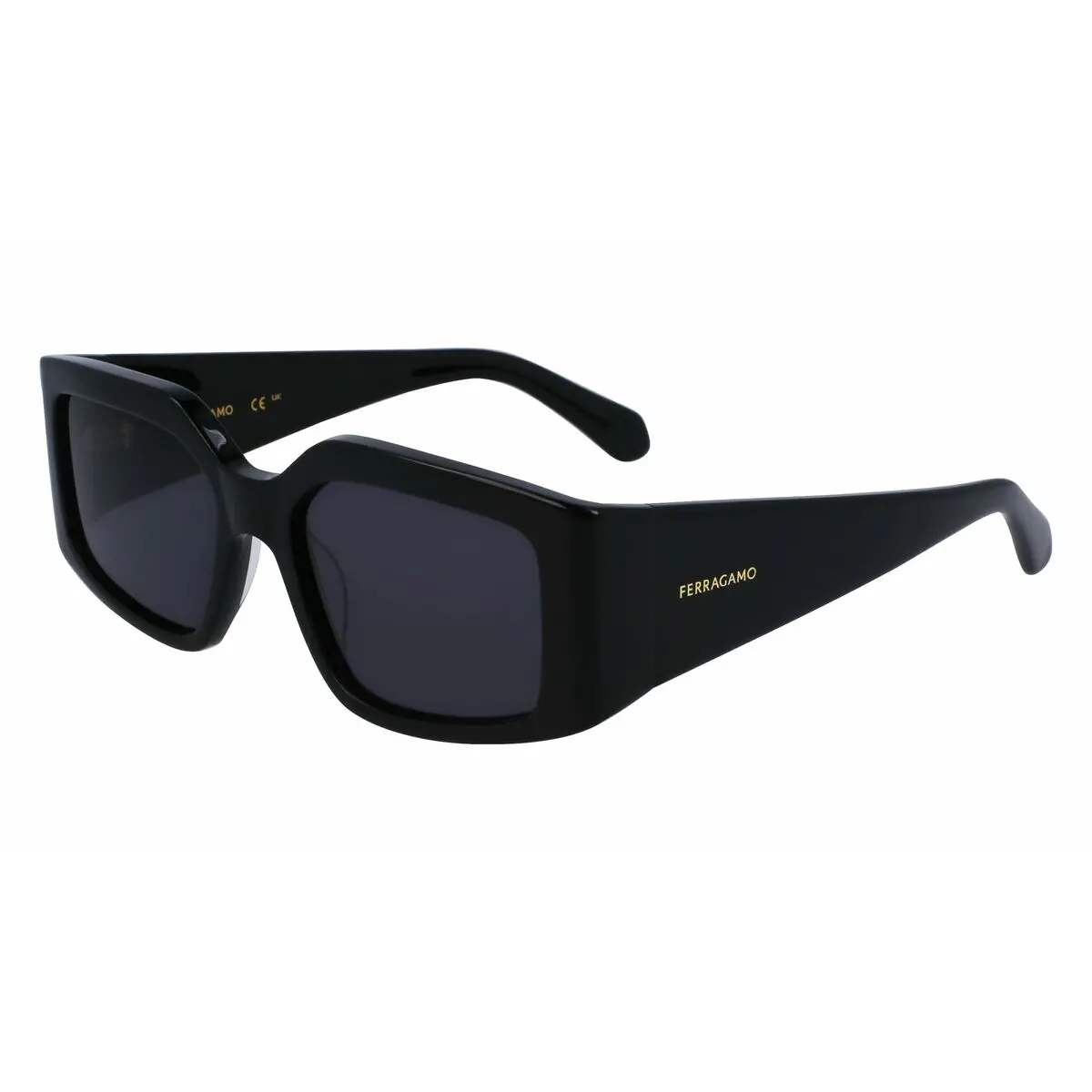 Ladies' Sunglasses Salvatore Ferragamo Sf1101s-5418001 Ø 54 Mm 1