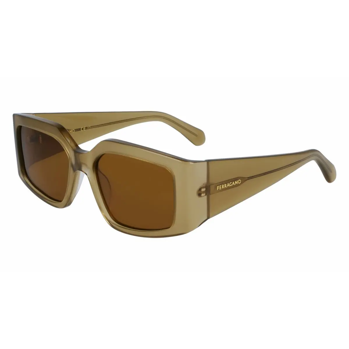 Ladies' Sunglasses Salvatore Ferragamo Sf1101s541833 Ø 54 Mm 1