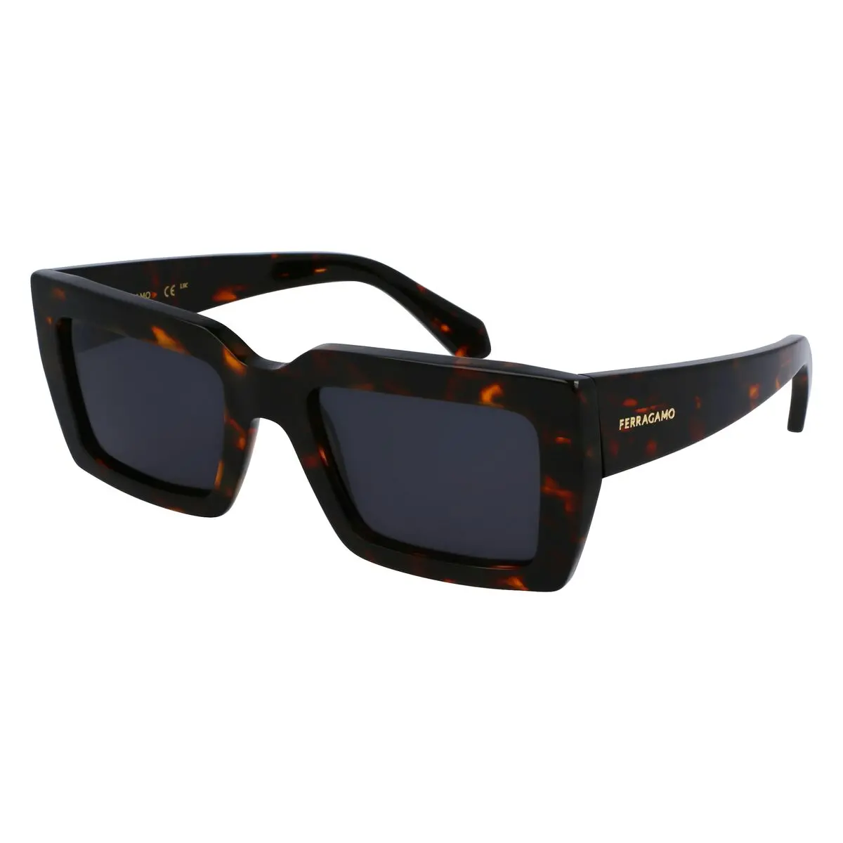 Ladies' Sunglasses Salvatore Ferragamo Sf1108s542124 Ø 54 Mm 1