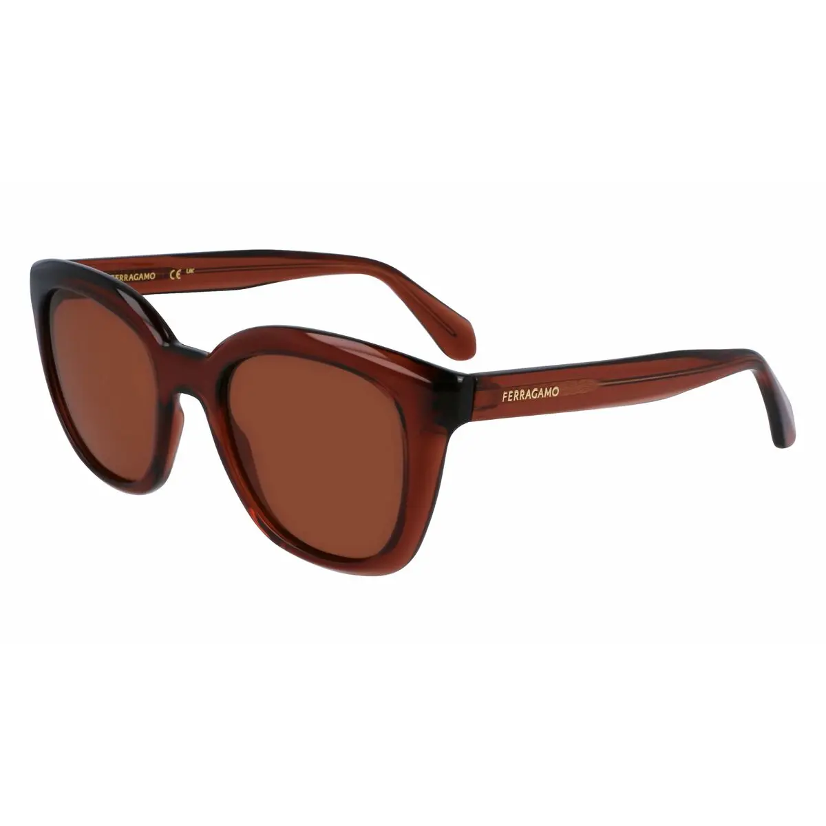 Ladies' Sunglasses Salvatore Ferragamo Sf2000s522123 Ø 52 Mm 1