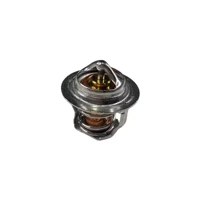 Thermostat Kubota (44 Mm) 1