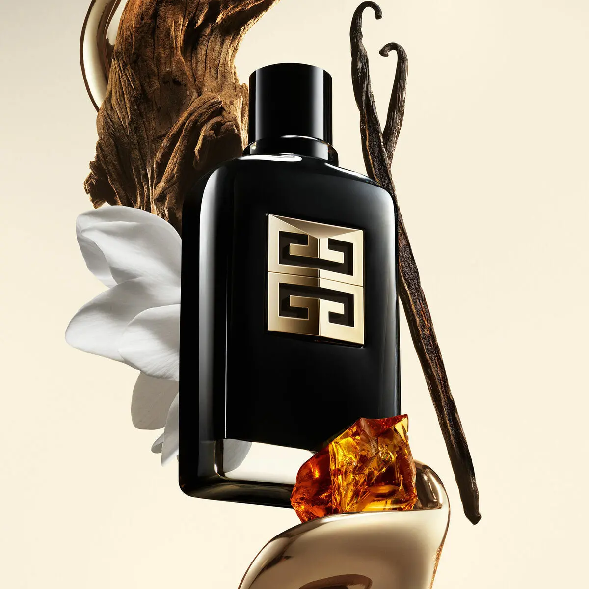 Men's Perfume Givenchy Gentleman Society Edp 100 Ml 2