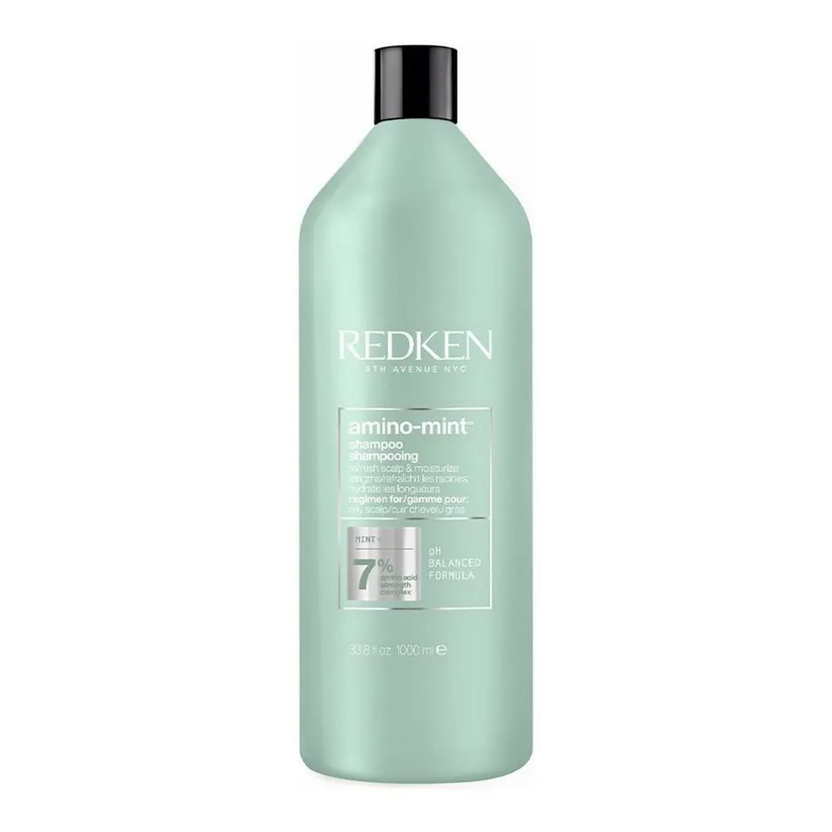 Shampoo Redken Amino Mint 1 L 1