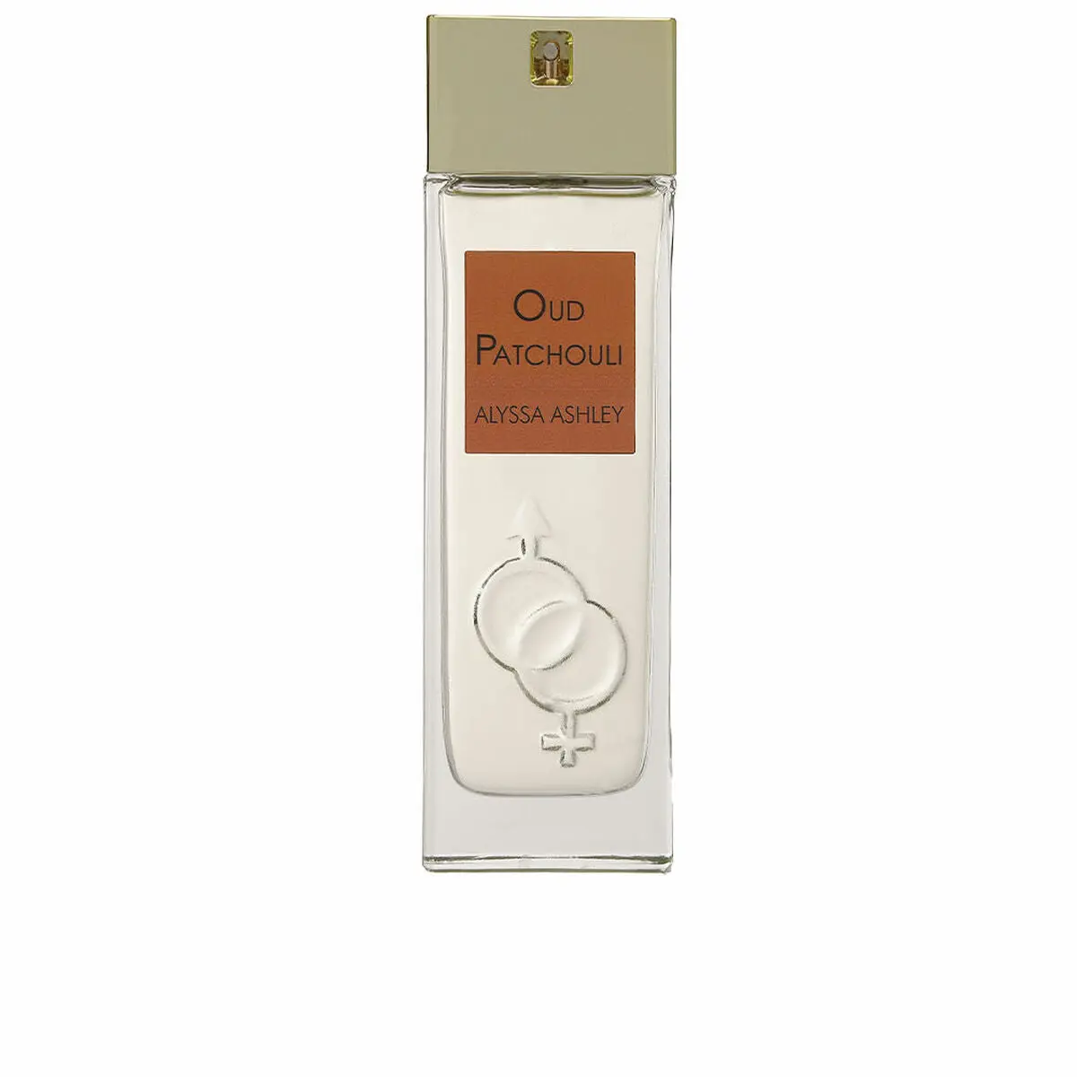 Unisex Perfume Alyssa Ashley Oud Patchouli Edp Edp 100 Ml 1