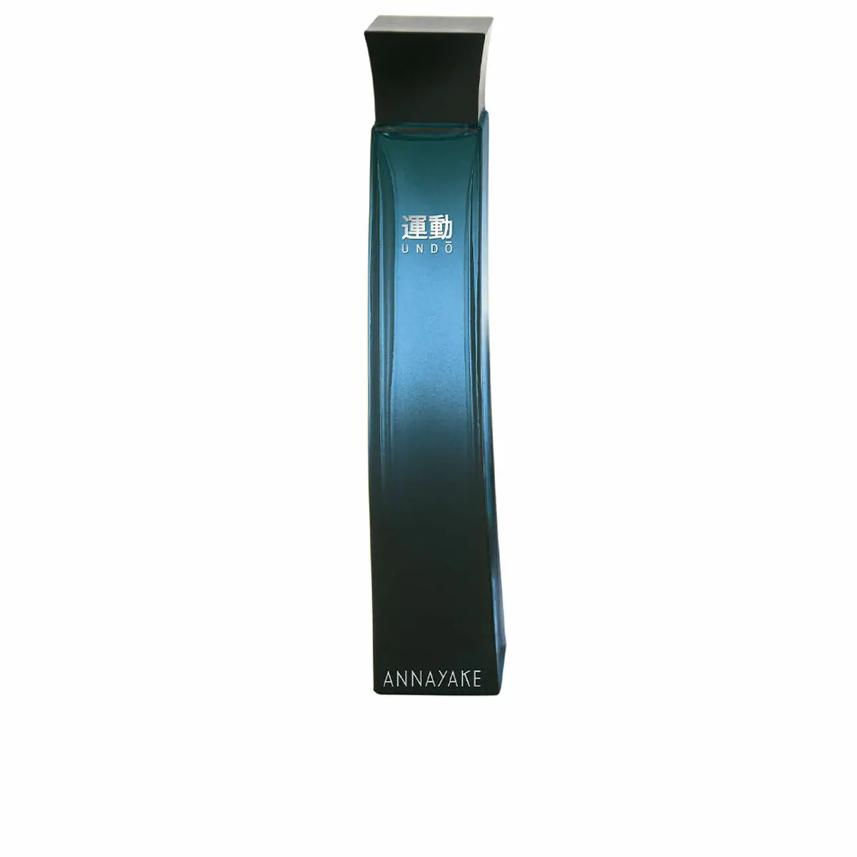 Men's Perfume Annayake Undo Pour Homme Edt 100 Ml 1