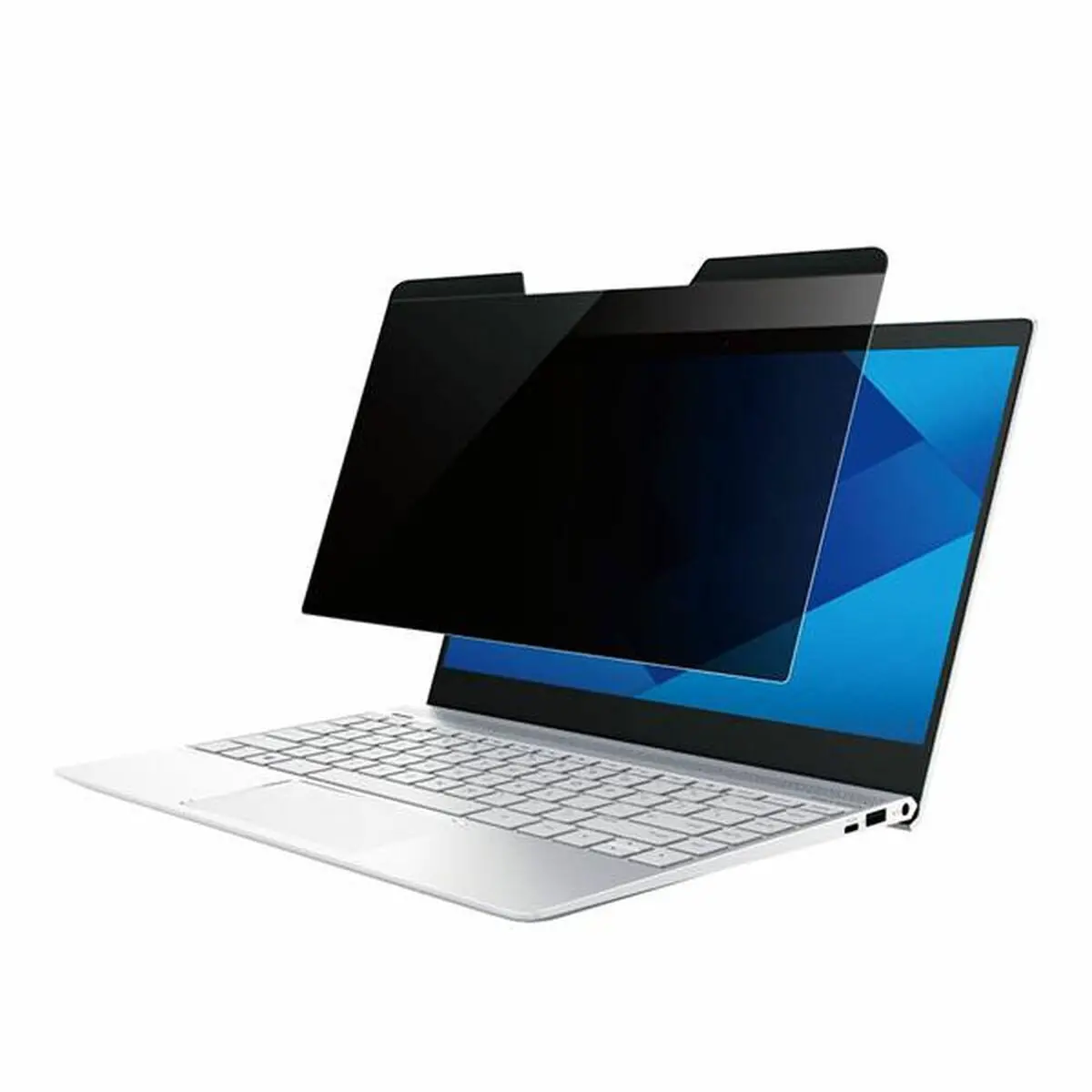 Privacy Filter For Monitor Startech Privscnlt15 1