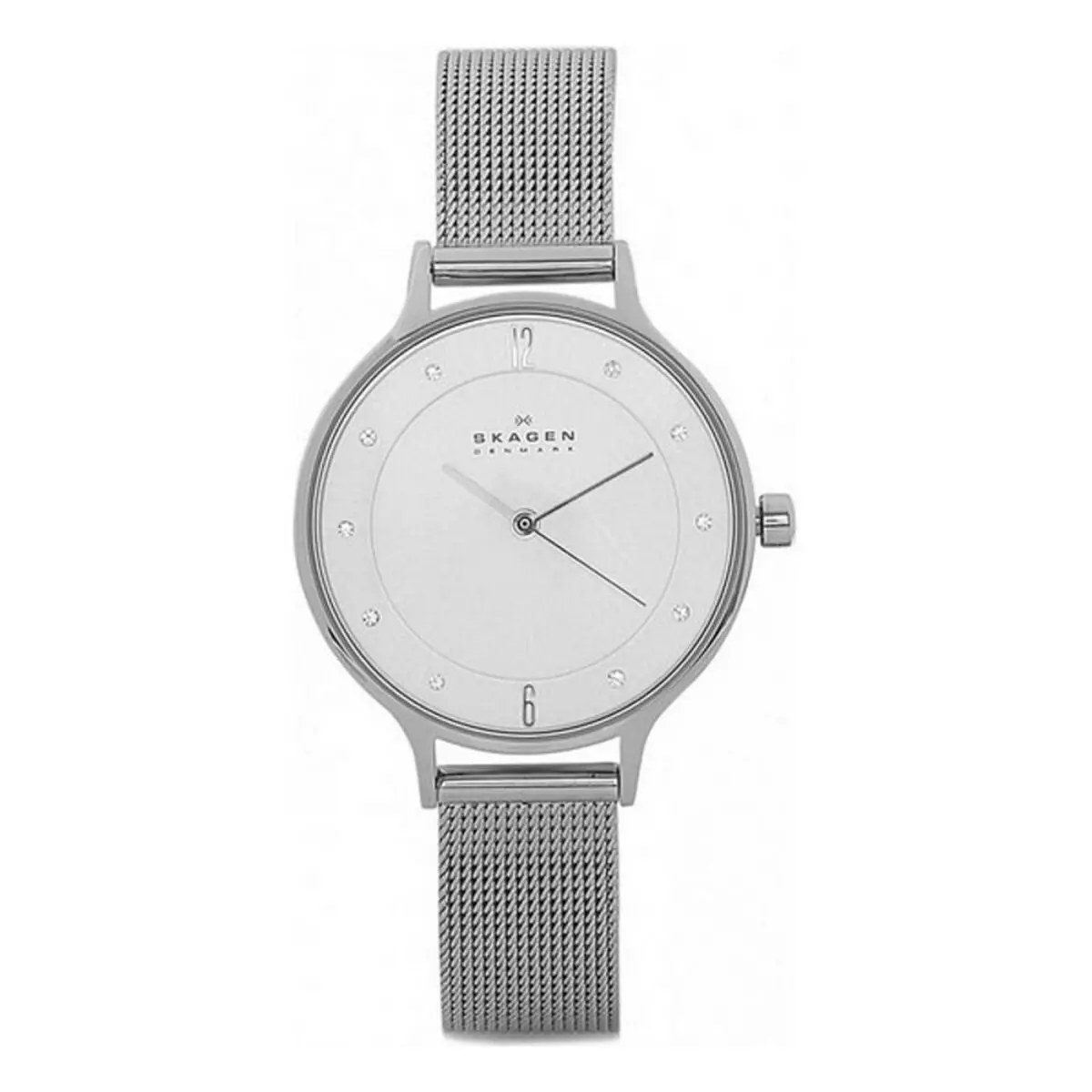 Ladies' Watch Skagen Skw2149 1