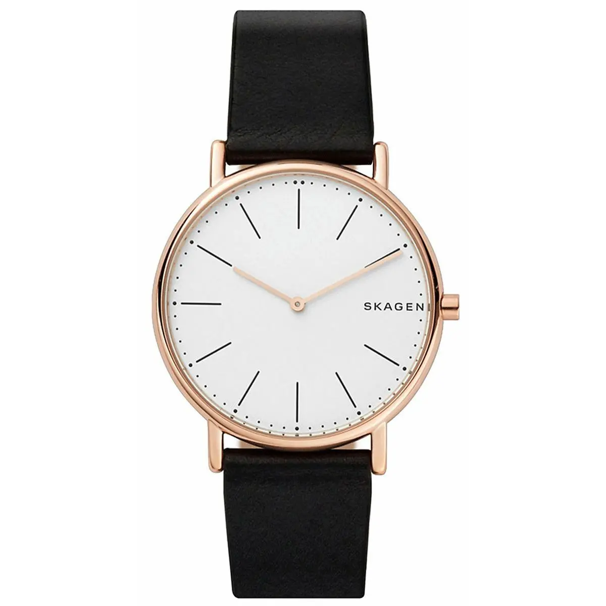 Unisex Watch Skagen Skw6430 Pink (Ø 40 Mm) 1