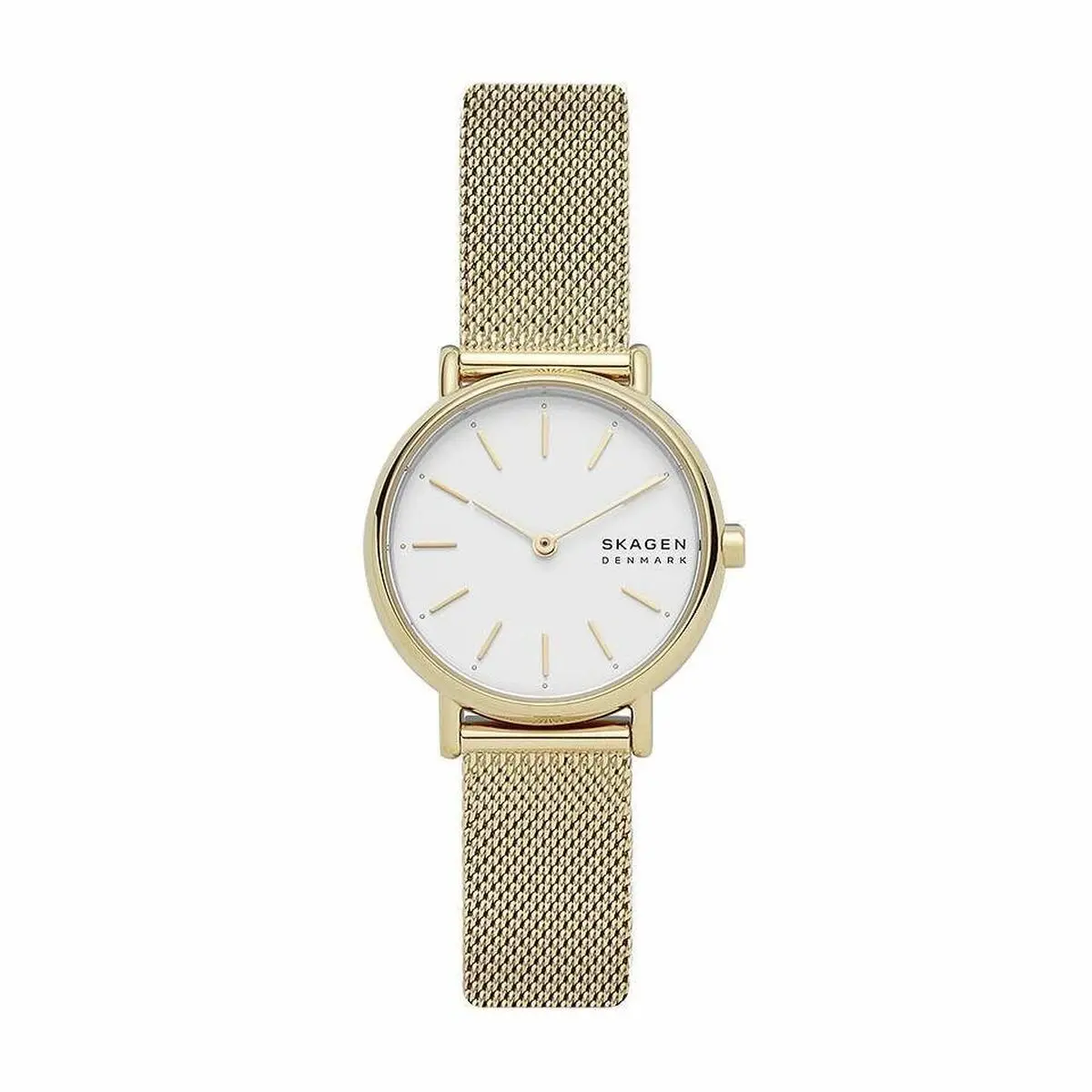 Ladies' Watch Skagen Skw2693 (Ø 30 Mm) 1