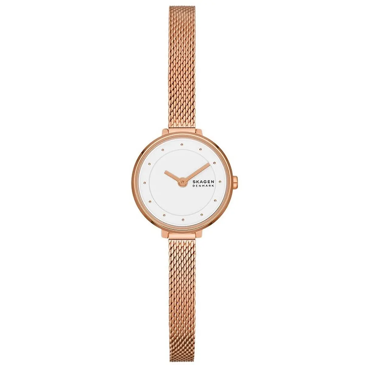 Ladies'watch Skagen Gitte Lille (Ø 22 Mm) 1