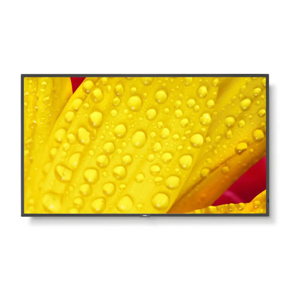 Videowall Monitor Nec 60006085 4K Ultra Hd 50" 1