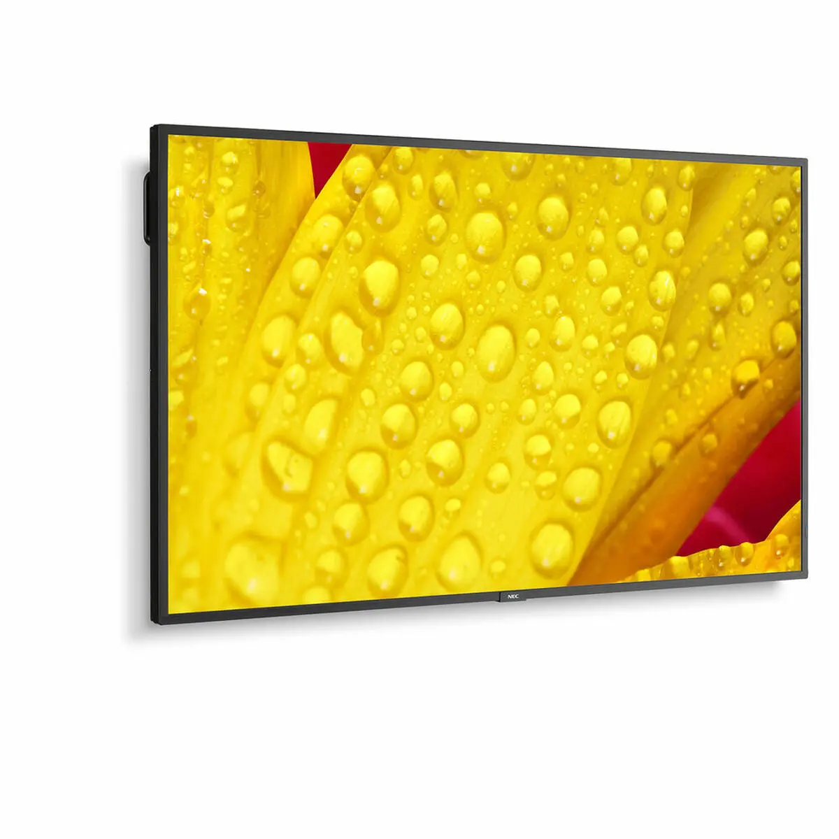 Monitor Nec 60005048 43" 4K Ultra Hd Led 43" Ips 50-60  Hz 1