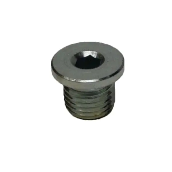 Oil Plug Lombardini 1