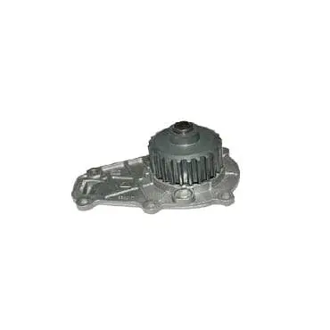 Water Pump Lombardini Dci Hdi 442 492 1