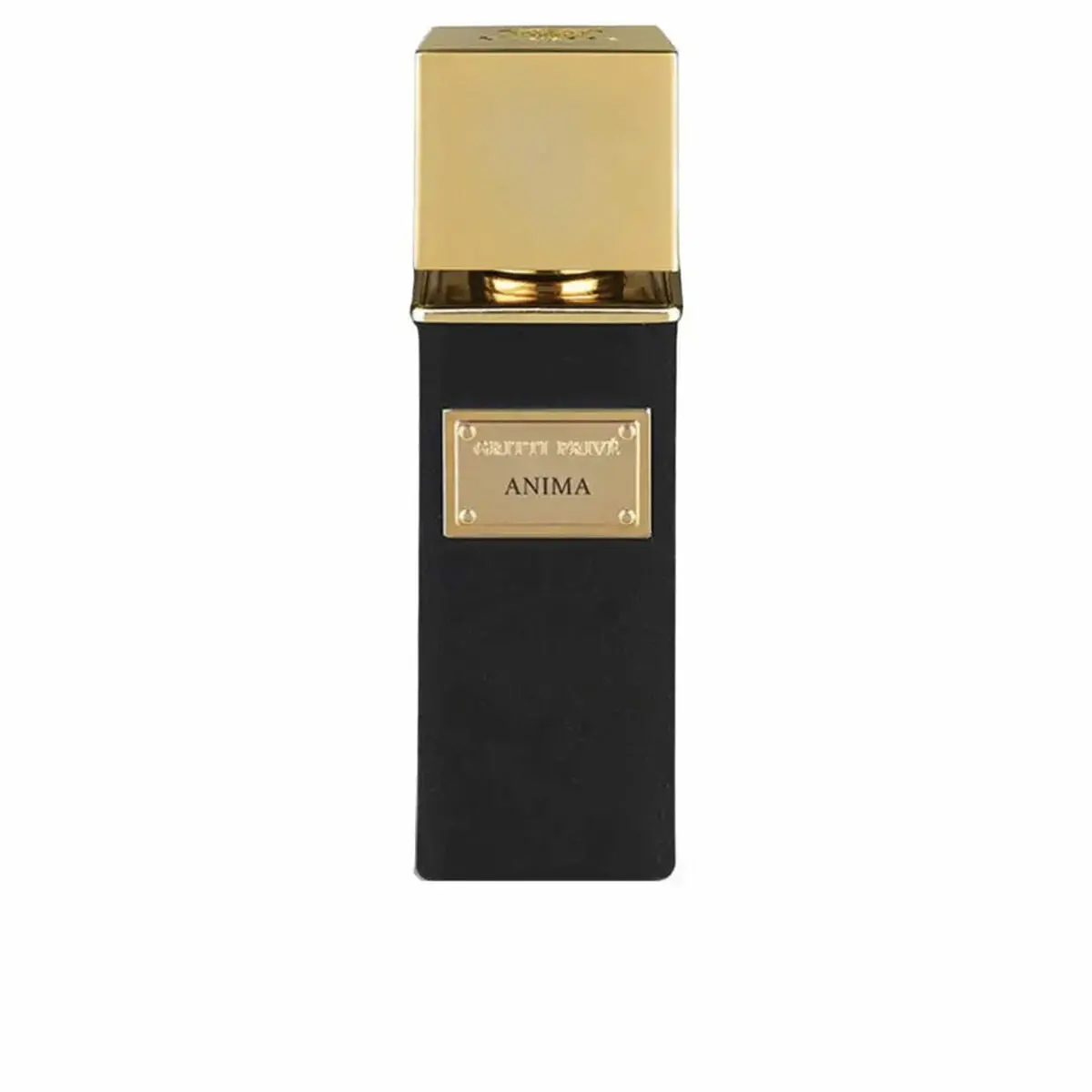 Men's Perfume Gritti Anima Extrait De Parfum Edp 100 Ml 1