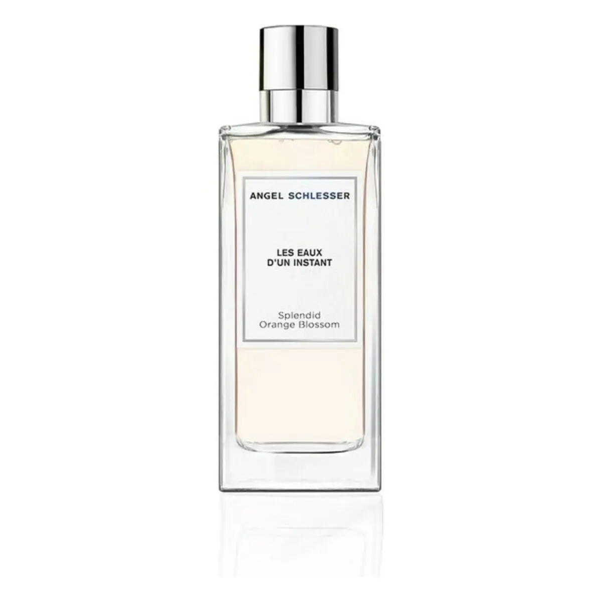 Women's Perfume Angel Schlesser Bf-8058045426912_Vendor 100 Ml 1