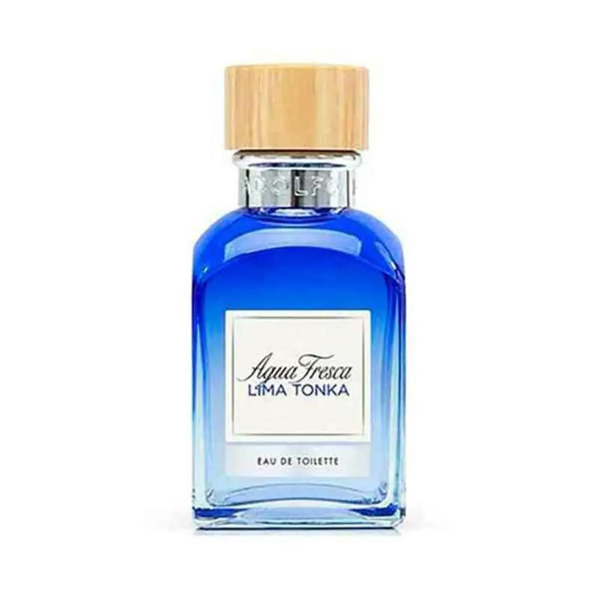 Men's Perfume Adolfo Dominguez Adolfo Dominguez Edt 120 Ml 1