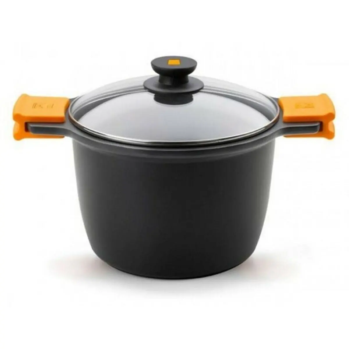 Pot With Glass Lid Bra Efficient 1