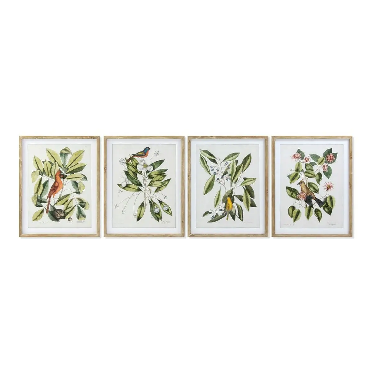 Painting Dkd Home Decor Bird Crystal Fir 55 X 2,5 X 70 Cm (4 Pieces) 1