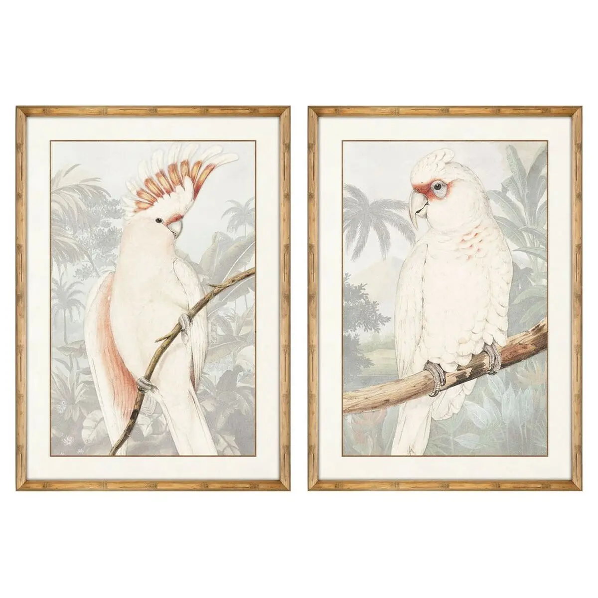 Painting Dkd Home Decor Parrot Tropical 50 X 3 X 70 Cm (2 Units) 1