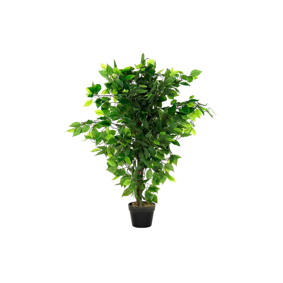 Decorative Plant Dkd Home Decor 50 X 50 X 90 Cm Metal Polyethylene Green 30 X 40 Cm Fig Tree Urban 1