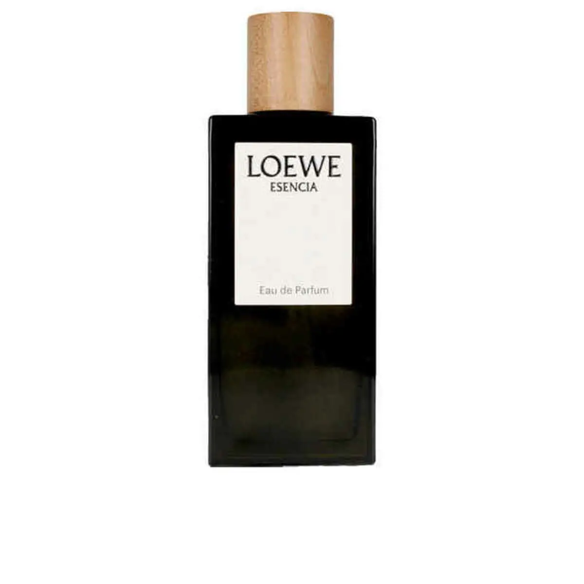 Men's Perfume Loewe E001-21P-022987 100 Ml 1