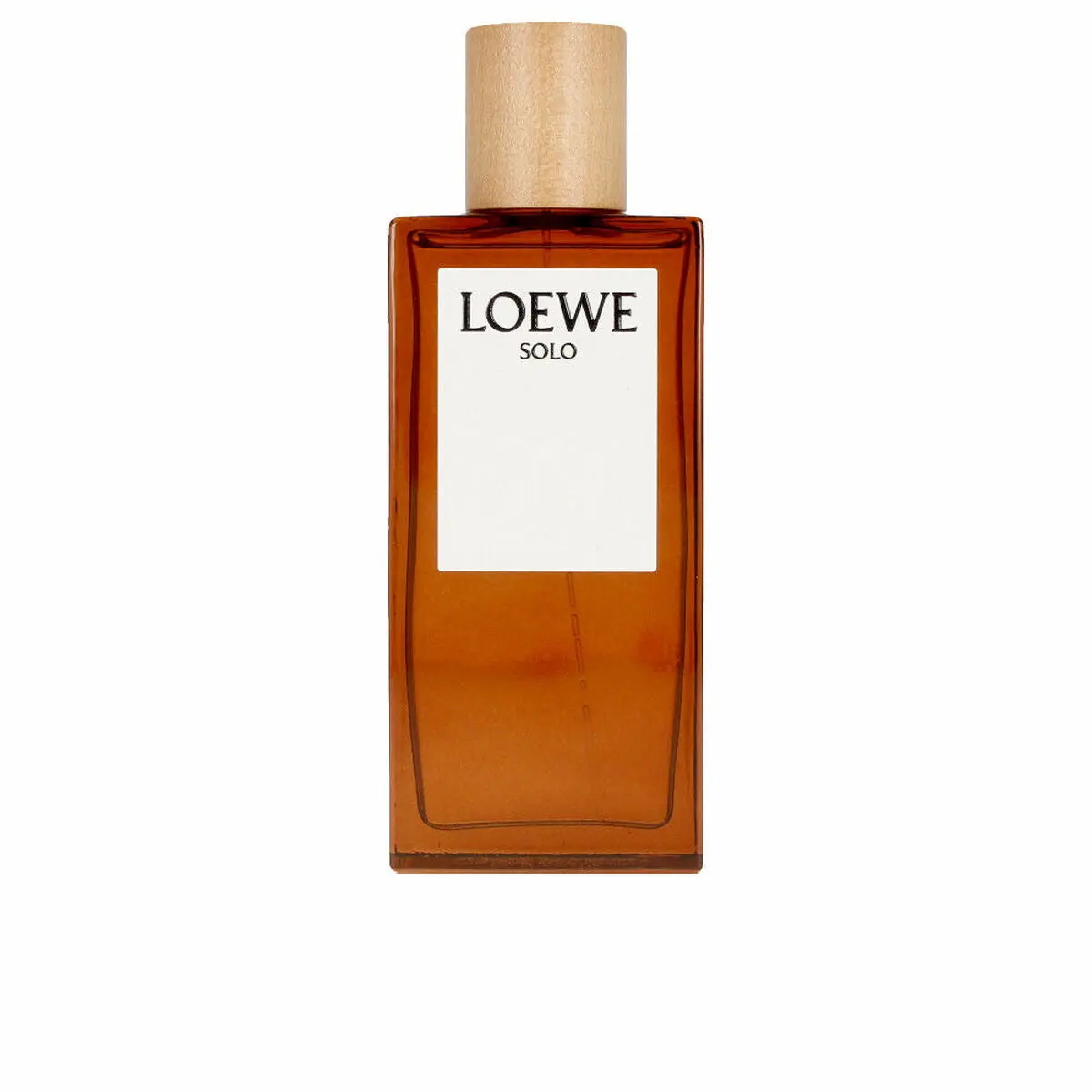 Men's Perfume Loewe Solo Loewe 100 Ml 1