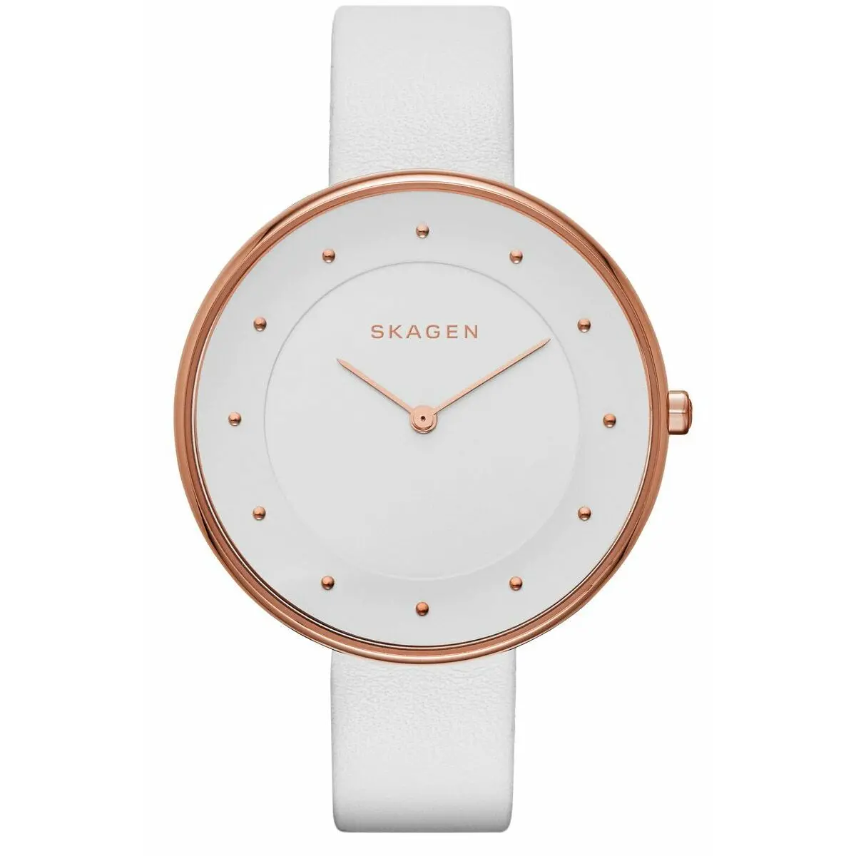 Ladies' Watch Skagen Skw2291 (Ø 38 Mm) 1