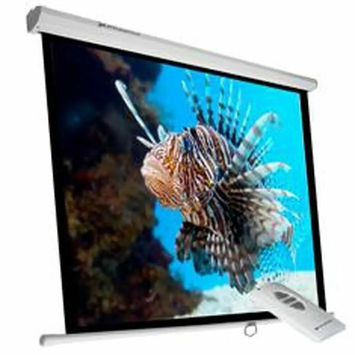 Projection Screen Phoenix Phpantalla-Elec240 1