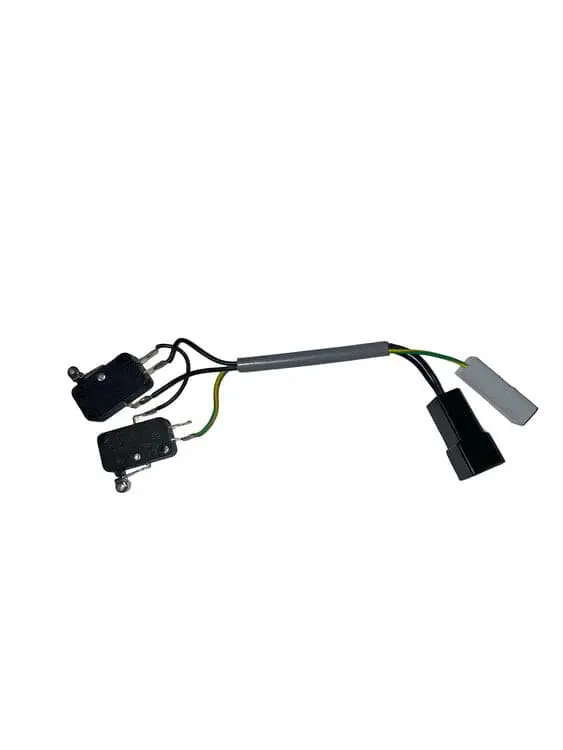 Micro Switch Set Gearbox Casalini 1