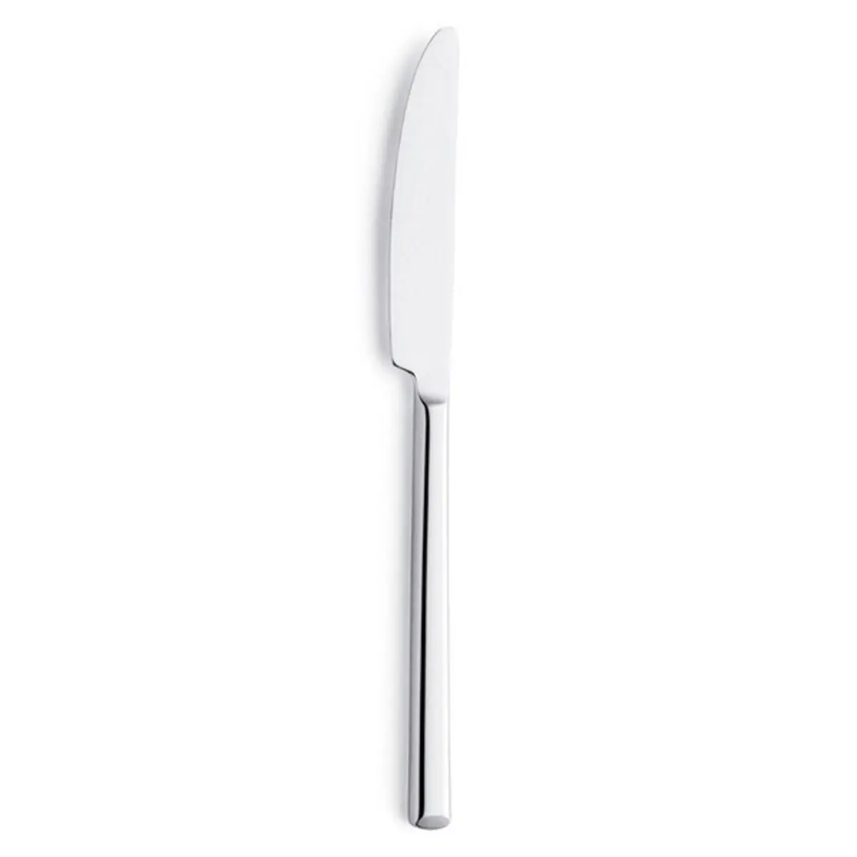 Knife Set Amefa Metropole Metal 21 Cm 12 Units 1