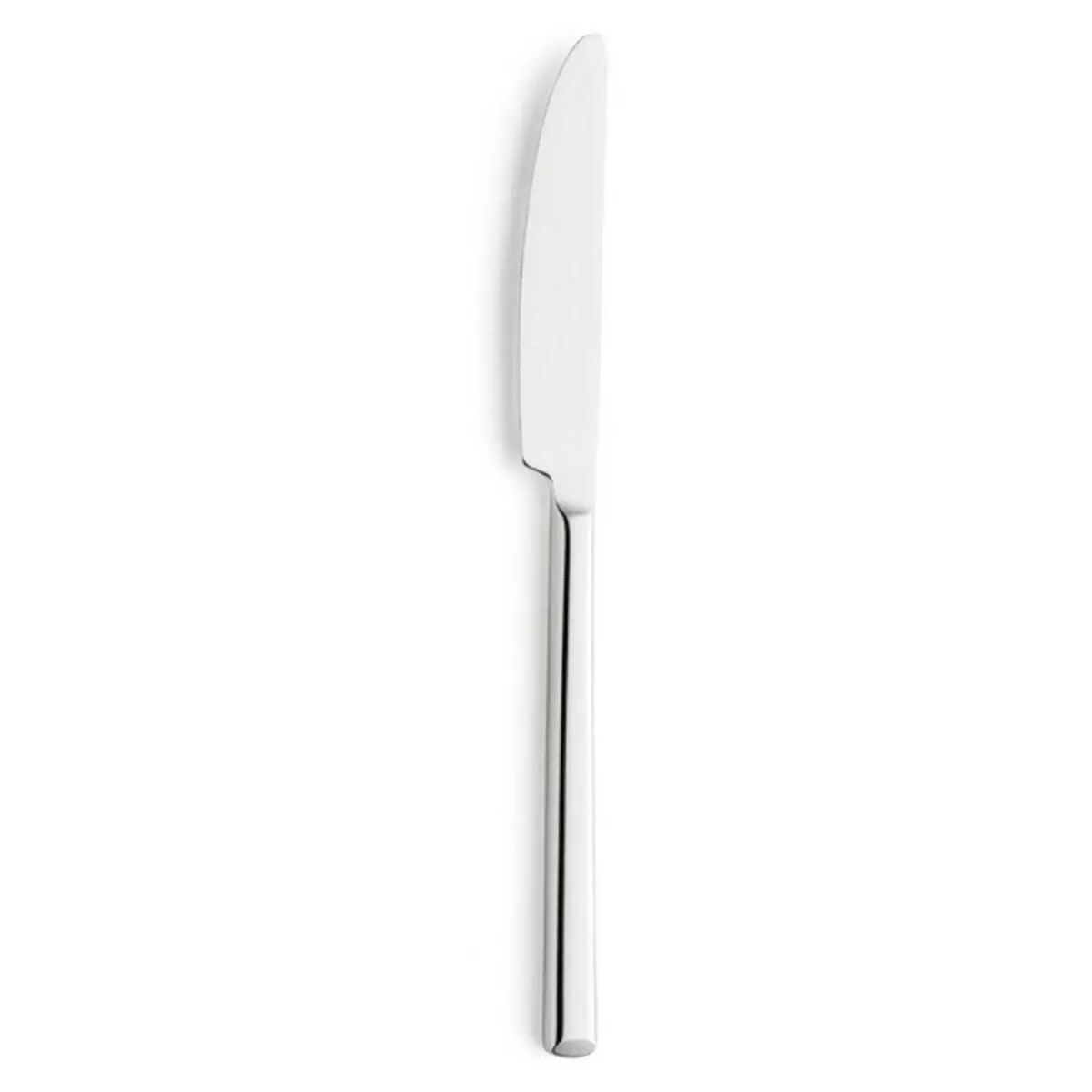Set Of Dessert Knives Amefa Metropole Metal 20,5 Cm (12 Units) 1