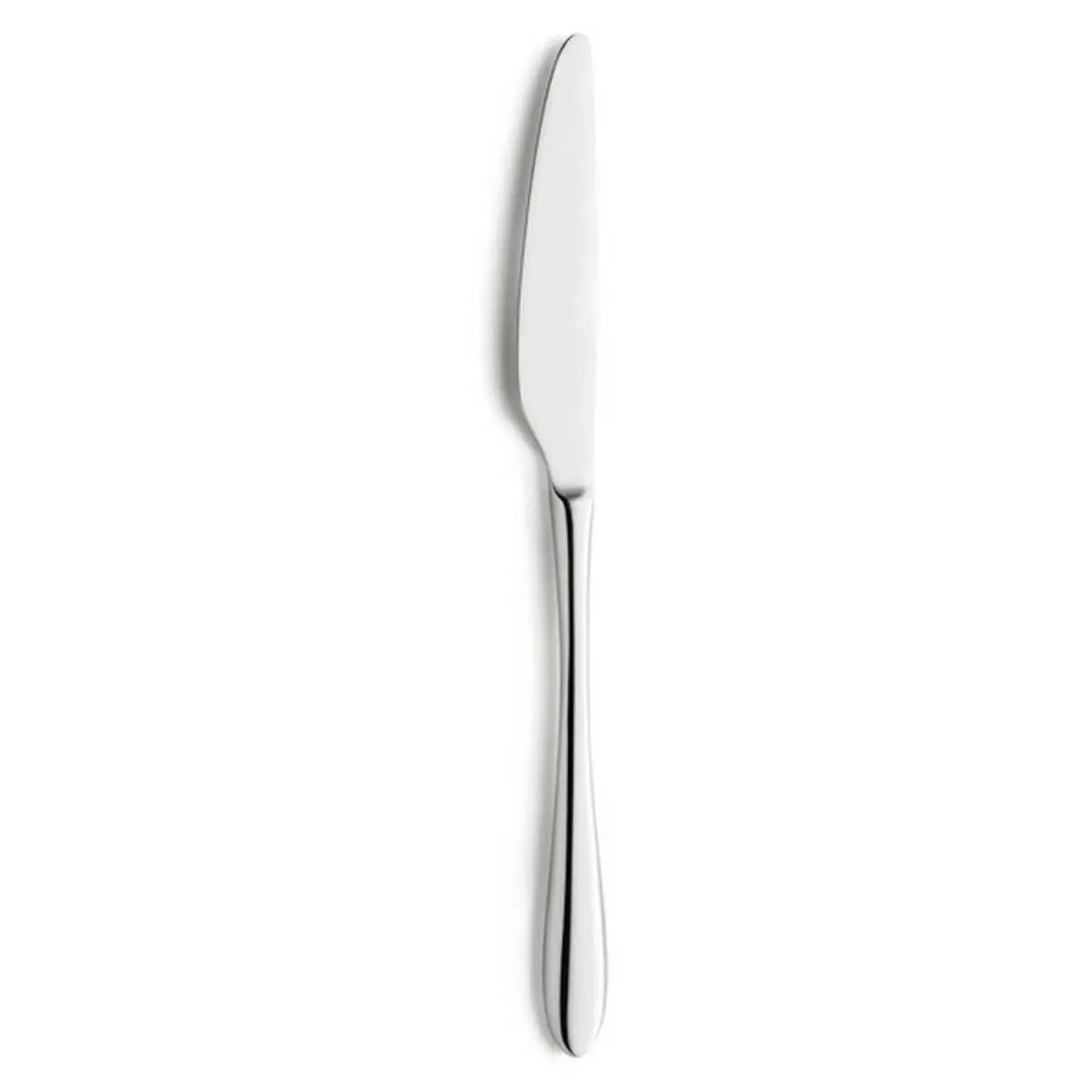 Knife Set Amefa Cuba 12 Units 1