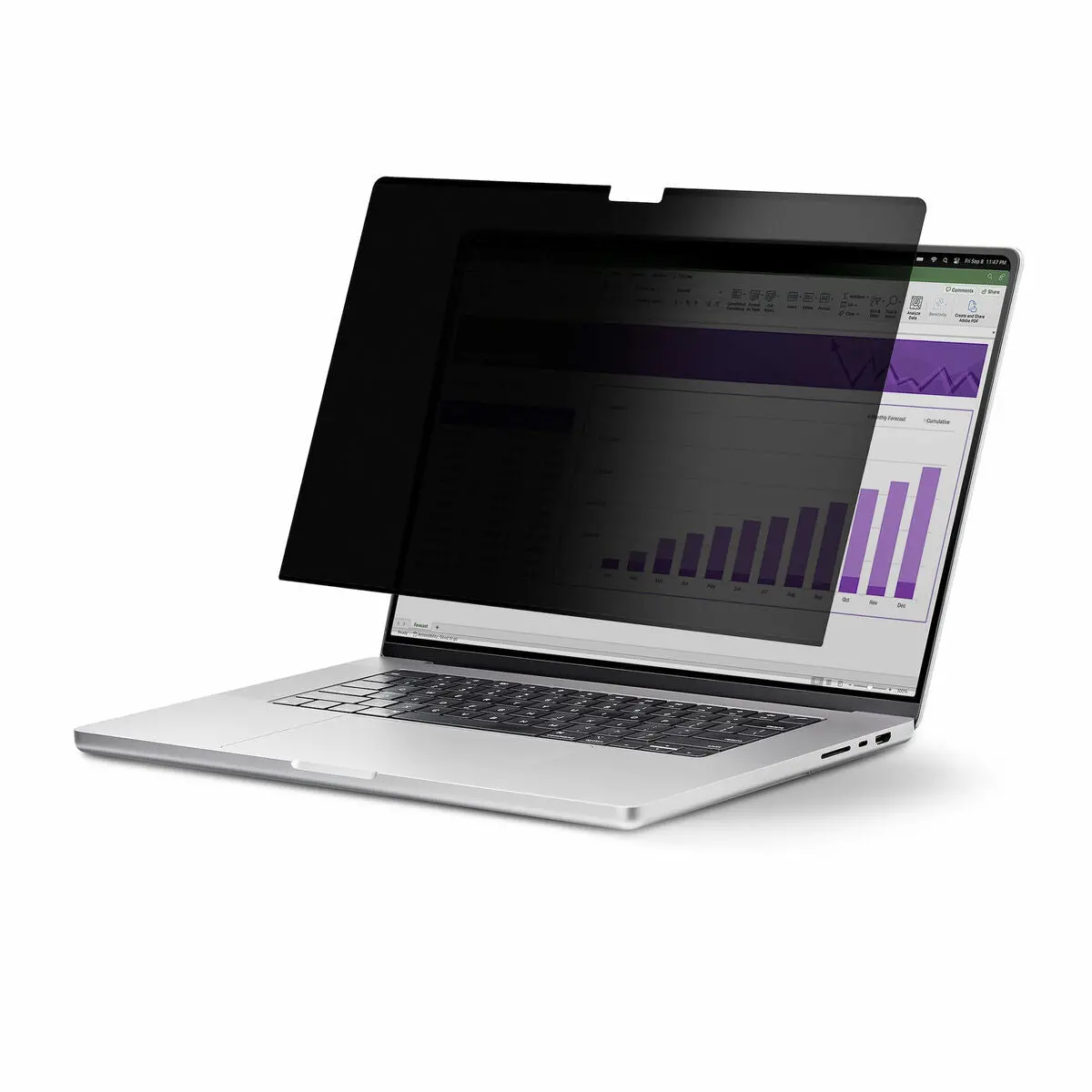 Notebook Stand Startech 133T6-Privacy-Screen Plastic 1