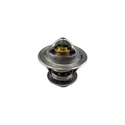 Thermostat Lombardini Progress / Dci 1