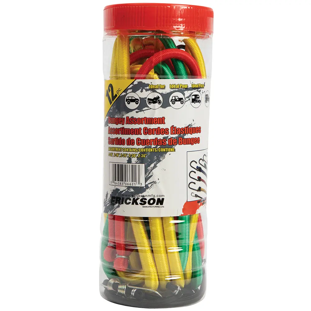 12 Pack Assorted Jar Of Bungey Cords 1