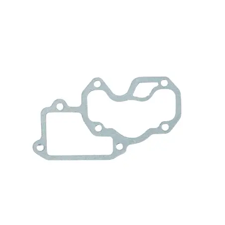 Intake Gasket Lombardini 502 1