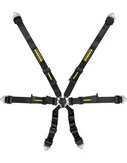 Schroth Flexi 2X2 Belt - Fia - Color: Black, Blue, Red 1