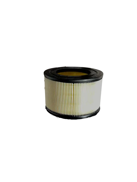 Air Filter Casalini M14 Mitsubishi 1
