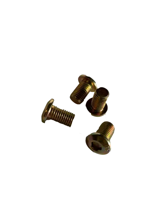 Front Brake Disc Screws 4 Pcs Ligier Microcar 1