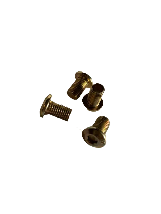 Screws For Front Brake Disc (4 Pieces) 1