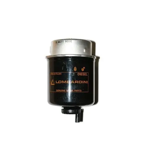 Fuel Filter Lombardini Dci 1