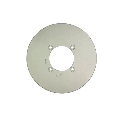 Brake Disc Rear Ligier Microcar 1
